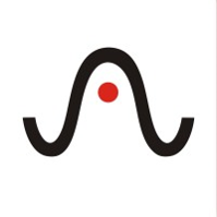 trans auto international